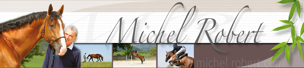 DVD Michel Robert Michel Robert